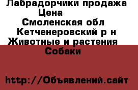 Лабрадорчики продажа › Цена ­ 12 000 - Смоленская обл., Кетченеровский р-н Животные и растения » Собаки   